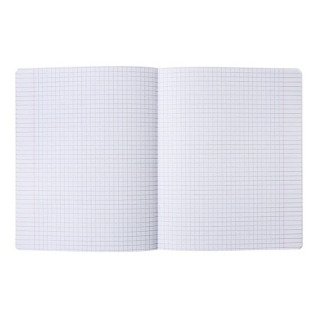 A set of subject notebooks 48 sheets, 12 pieces, Erichkrause "Chubrik", plastic cover silk-screen covers, Blok Offset 100%, information block-17