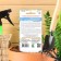 Cucumber seeds "Little Penantine", F1, 8 pcs