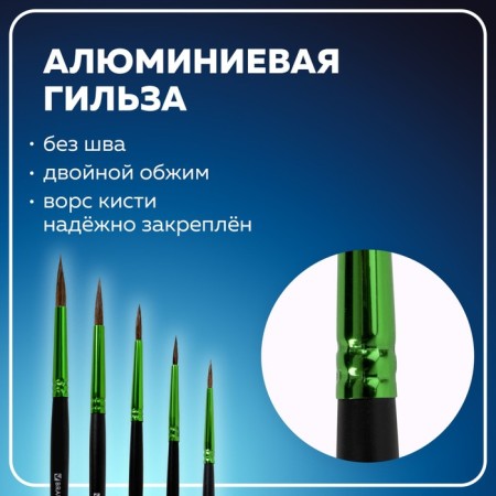 Набор кистей Пони 5 штук, BRAUBERG PREMIUM, круглые № 1, 2, 3, 4, 5-9