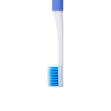 Toothbrush Children's Cute, bird-13