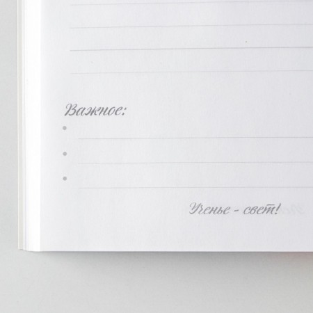 Diary in the soft cover of the "Golden Educator" A5 format, 80 sheets-3