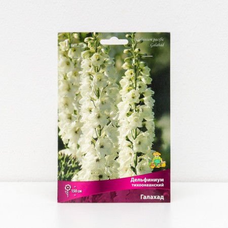 Delphinium "Pacific Galahad", 1 pc, rr I, spring 2025
