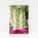Delphinium "Pacific Galahad", 1 pc, rr I, spring 2025