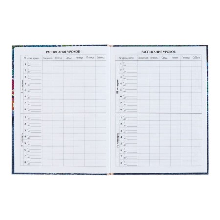Universal diary for grades 1-11, "kittens in pockets", solid cover 7BC, glossy lamination, 40 sheets-3