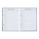 Universal diary for grades 1-11, "kittens in pockets", solid cover 7BC, glossy lamination, 40 sheets