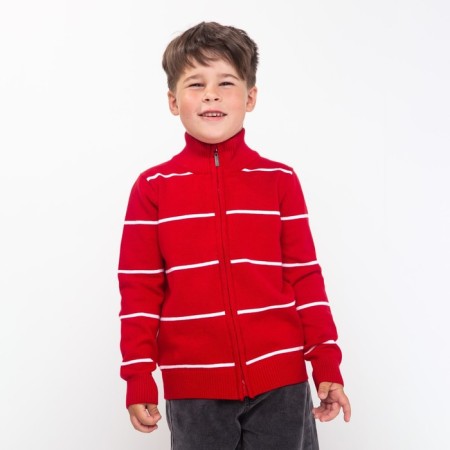 Jumper for the boy, the color is red/color white, height 104 cm (4)-1
