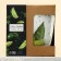 Ceramic Lime Ceramic mug, 350 ml, white color