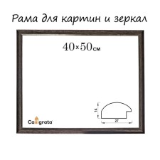 Frame for paintings (mirrors) 40 x 50 x 2.7 cm, plastic, calligrata 6472, wet asphalt