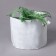 Container with handles, 30 l, 40 × 30 cm, density 130 g/m², GreenGo