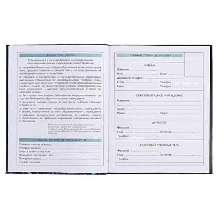 Diary for 5-11 grades of Technoboom No. 4, integral cover, glossy lamination, 48 sheets, block 70 g/m2-5
