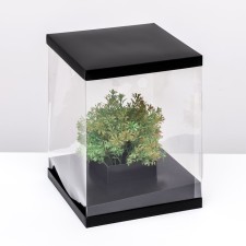 Box for flowers with a vase and PVC windows, folding, 23 x 30 x 23 cm, black