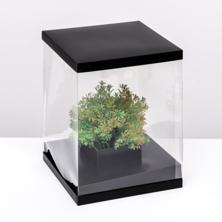 Box for flowers with a vase and PVC windows, folding, 23 x 30 x 23 cm, black