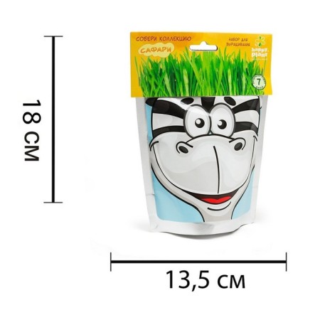 Happy Plant growing sets "Zebra"-3
