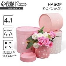 Set of hats 4 in 1, gift packaging, “chamomile”, 12 x 12 - 20 x 20 cm