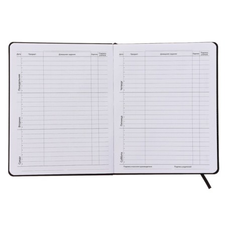 Universal diary for grade 1-11 Exit this Way, integral cover, artificial leather, silkography, lies, 80 g/m2-4