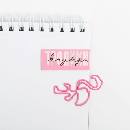 Set: curly paper clips 4 pcs and magnetic bookmarks 2 pcs “Tropics inside”-4