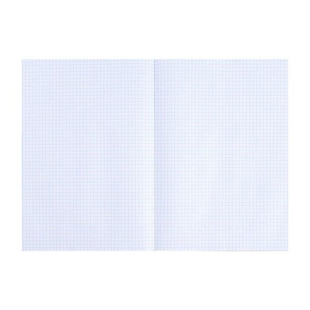 Book of accounting, 96 sheets, boumvinyl cover, offset block, cell, green color-3