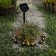 Garden lamp on the sunny battery "Hoop", 9 LED, glow warm white