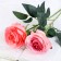 Artificial flower "Rosa Leticia" 7x64 cm, pink mix