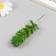 Artificial succulent for creating Florarium "Cleaning Morgan" set 4 pcs 6x11 cm