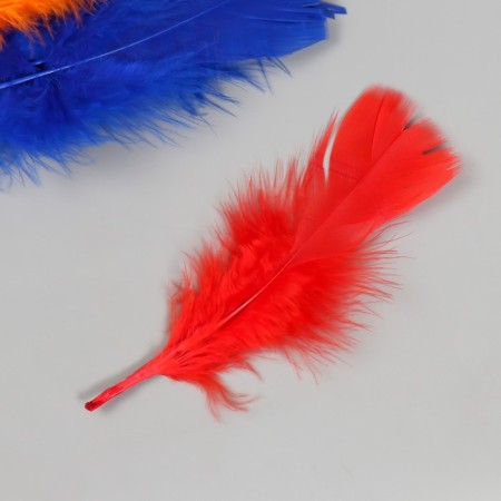 Decorative goose fan penis set 30 pcs h = 10-15 cm-2