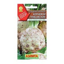 Celery seeds of root 