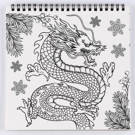 Substanton Glum-coloring "Dragons", 19 x 19 cm-5