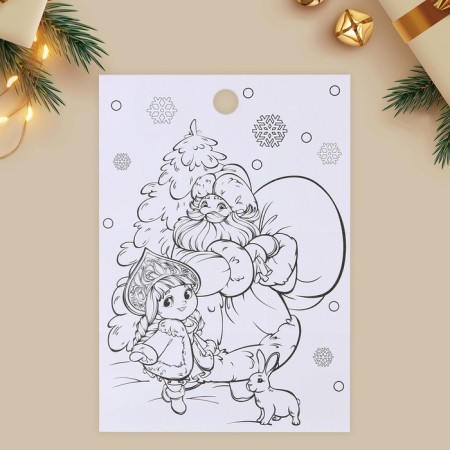 Paper stickers "New Year's joys", with coloring on the back, 11 x 15.5 cm, New Year-4