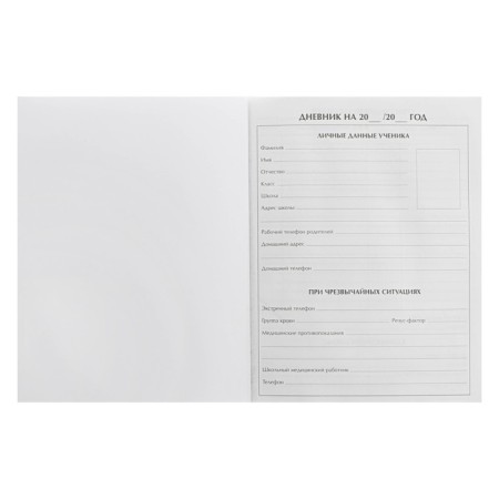 Diary for grades 5-11, "Speed ​​Zone", solid cover 7BC, matte lamination, selective varnish, 48 sheets-3