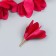 Decor for creativity Textile "Bun, raspberry color" set 6 pcs 6 cm