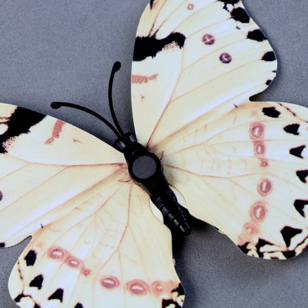 Set for decorating "Butterflies", 12 pcs, with black inserts, white color-4