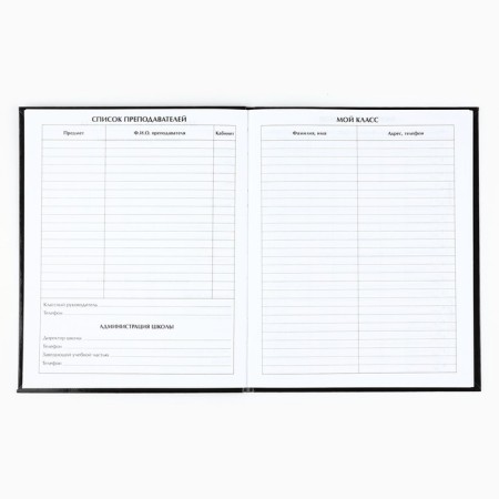 School diary for grade 1-11, in an integrated cover, 40 liters. "Anime. Kotik"-1