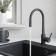 Santek and Tesio kitchen mixer, flexible surge, black matte