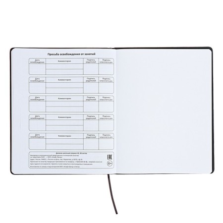 Universal diary for grades 1-11 "Font", firm cover of artificial leather, lies, 48 ​​sheets, black and blue-14