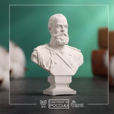 Bust 