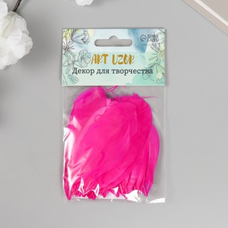 Decorative goose “fuchsia” pen in the shape of a sheet set 40 pcs h = 5-7 cm-3