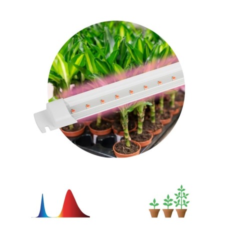 Lamp for plants, phytolamp LED linear era Fito-T5-RB-SLIM red-blue spect