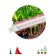Lamp for plants, phytolamp LED linear era Fito-T5-RB-SLIM red-blue spect