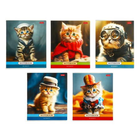 Notebook 48l Cl cats Artists, regional cards, rounded carrier, BL 65g/m2, mix