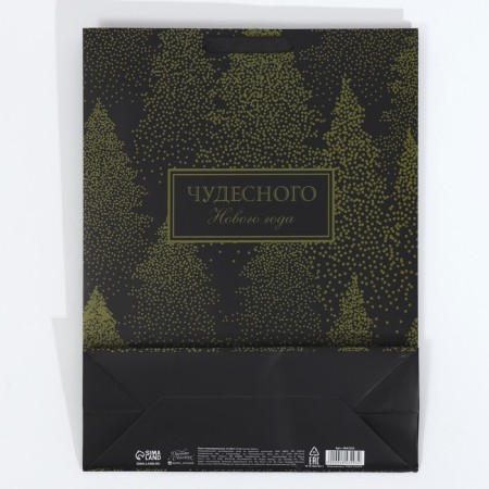 Laminated vertical packet “Wonderful New Year”, l 31 x 40 x 11.5 cm, New Year-6