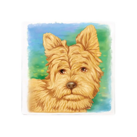 Reusable coloring "Dog", 20 × 20 cm-1