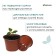 Pot for seedlings, 1 l, d = 15 cm, h = 9.5 cm, Greengo