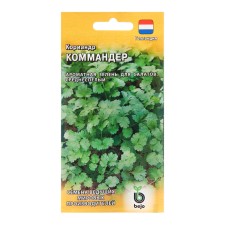 Coriander seeds 