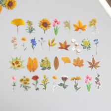 Stickers for creativity PLC PVC 