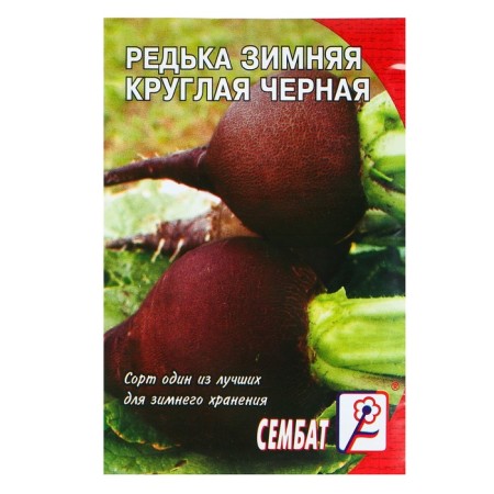 Seeds Radish "Winter Round Black", 3 g