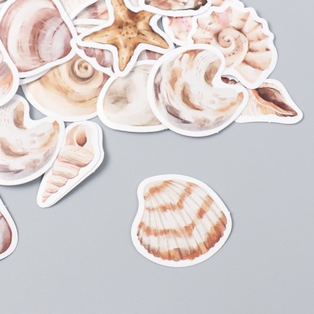 Stickers for creativity "sea shells" set of 46 pcs 4.4x4.4x1.1 cm-1
