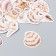Stickers for creativity "sea shells" set of 46 pcs 4.4x4.4x1.1 cm