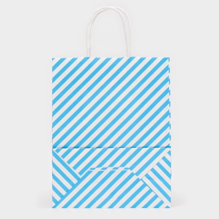 Crafts package, Blue Lines, 27 x 21 x 11 cm-2