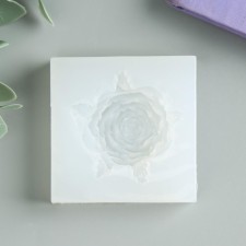 Mold Silicon 