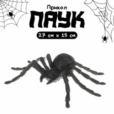 Spider shiny, black color, medium, on the substrate